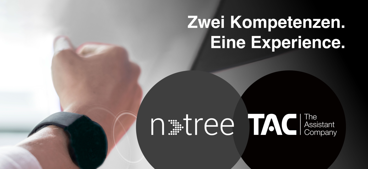 ntree und Tac_Website